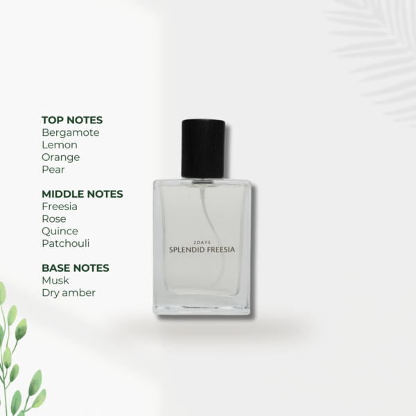 SPLENDID FREESIA - Image 3